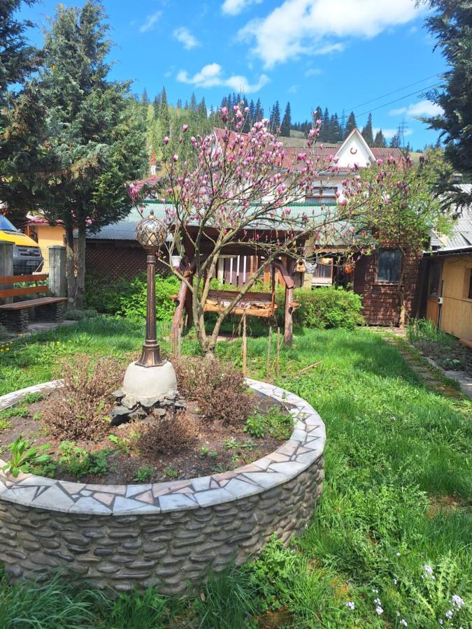 Casa Cu Lavanda Vatra Dornei Exterior photo
